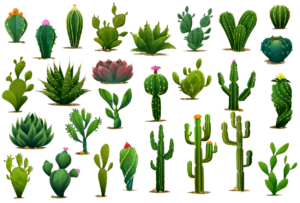 Cactus growing tips