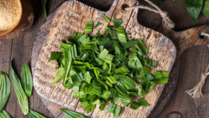 Close-up of Plantago Major Leaves Used in Herbal Medicine