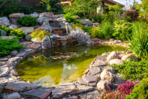 Frogs and insects attracted to a mini pond in the garden