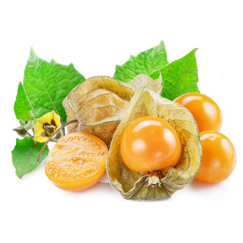 Goldenberry fruit with vibrant yellow-orange color and papery husk